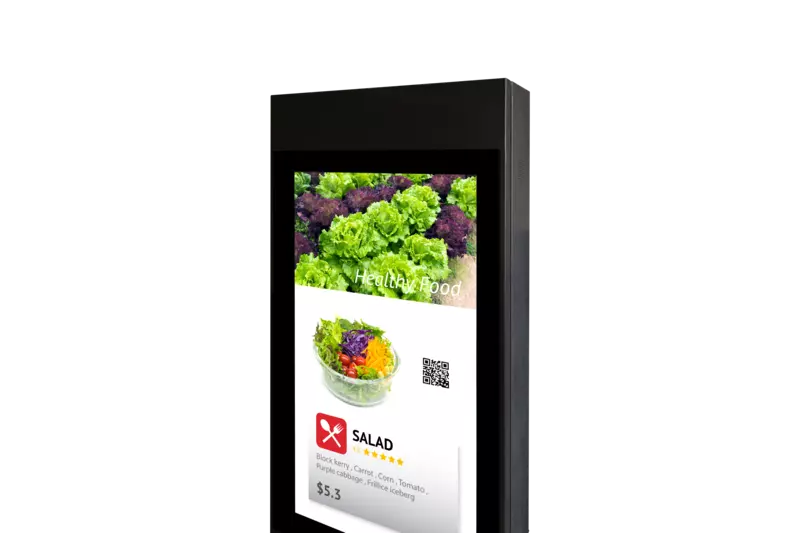 ignica Products & Services