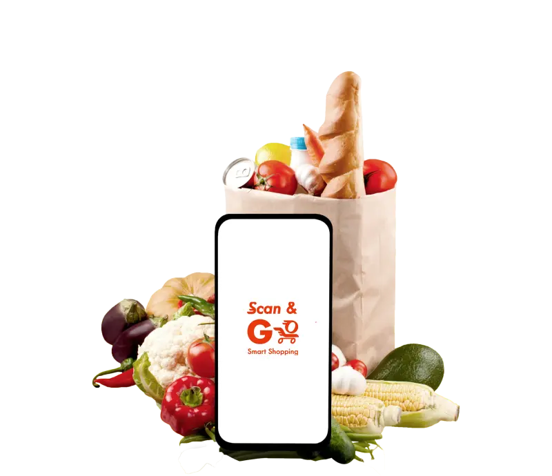 ignica Products & Services