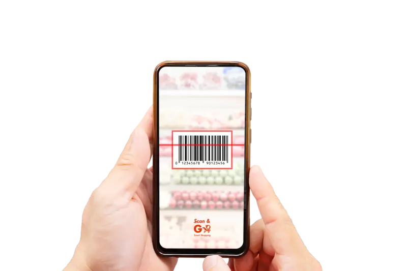 ignica Products & Services